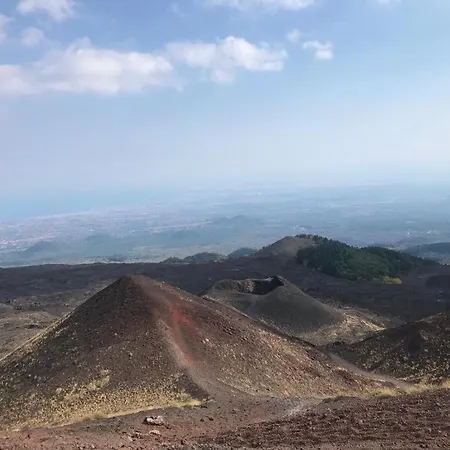 Apartment Falconara *